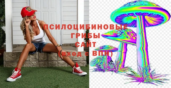 spice Белокуриха