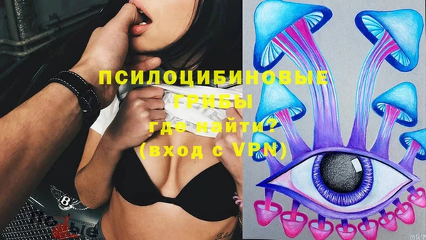 spice Белокуриха